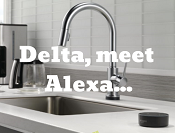 Delta meet alexa sink - Zinz Design in Youngstown, OH